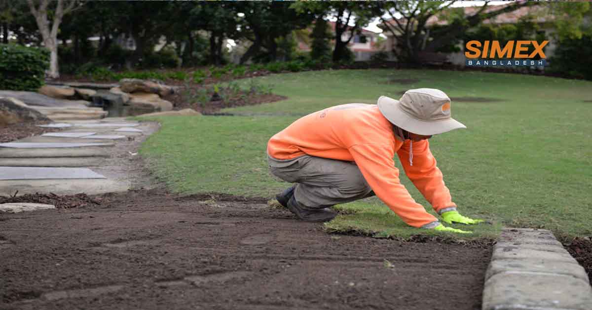SIMEX-Bangladesh-Gives-You-A-Eye-Catching-Land-Scaping-Service